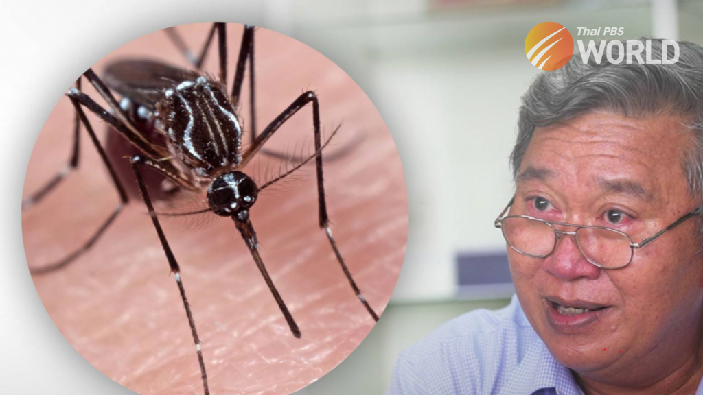 Mosquitoes Are Deadlyshould We Kill Them All The Future Of Mosquito Control - cbk49ym